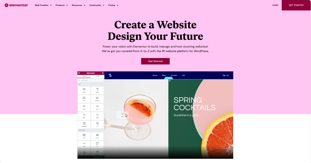 Elementor WordPress page builder